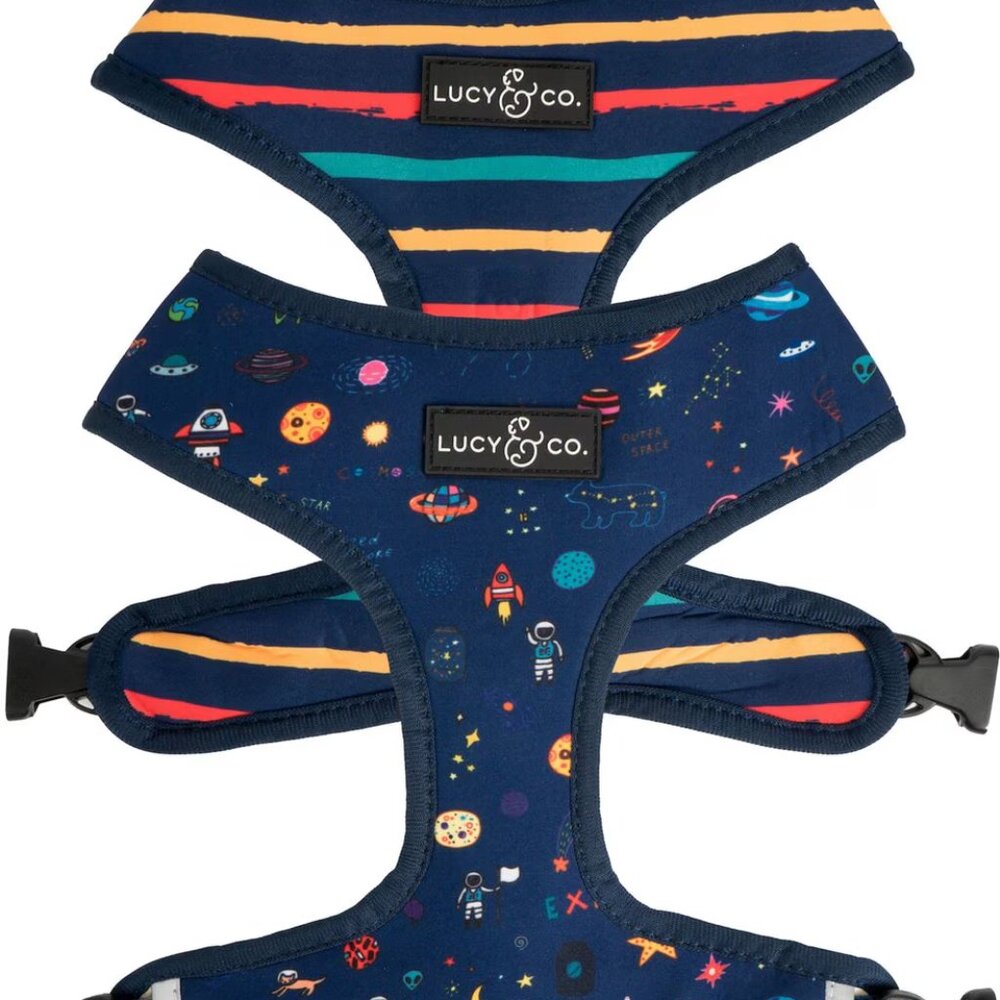 Navy Space Print Dog Harness - Blue